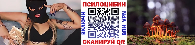 Галлюциногенные грибы MAGIC MUSHROOMS  сколько стоит  Лесосибирск 
